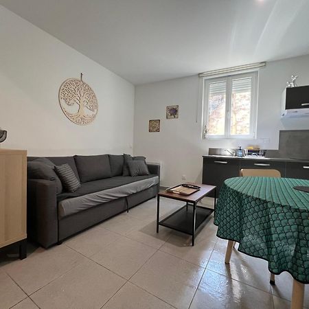 Fenix Appartement T2 40 M2 Cosy Rdc Plein Centre Ville Пьерлат Экстерьер фото
